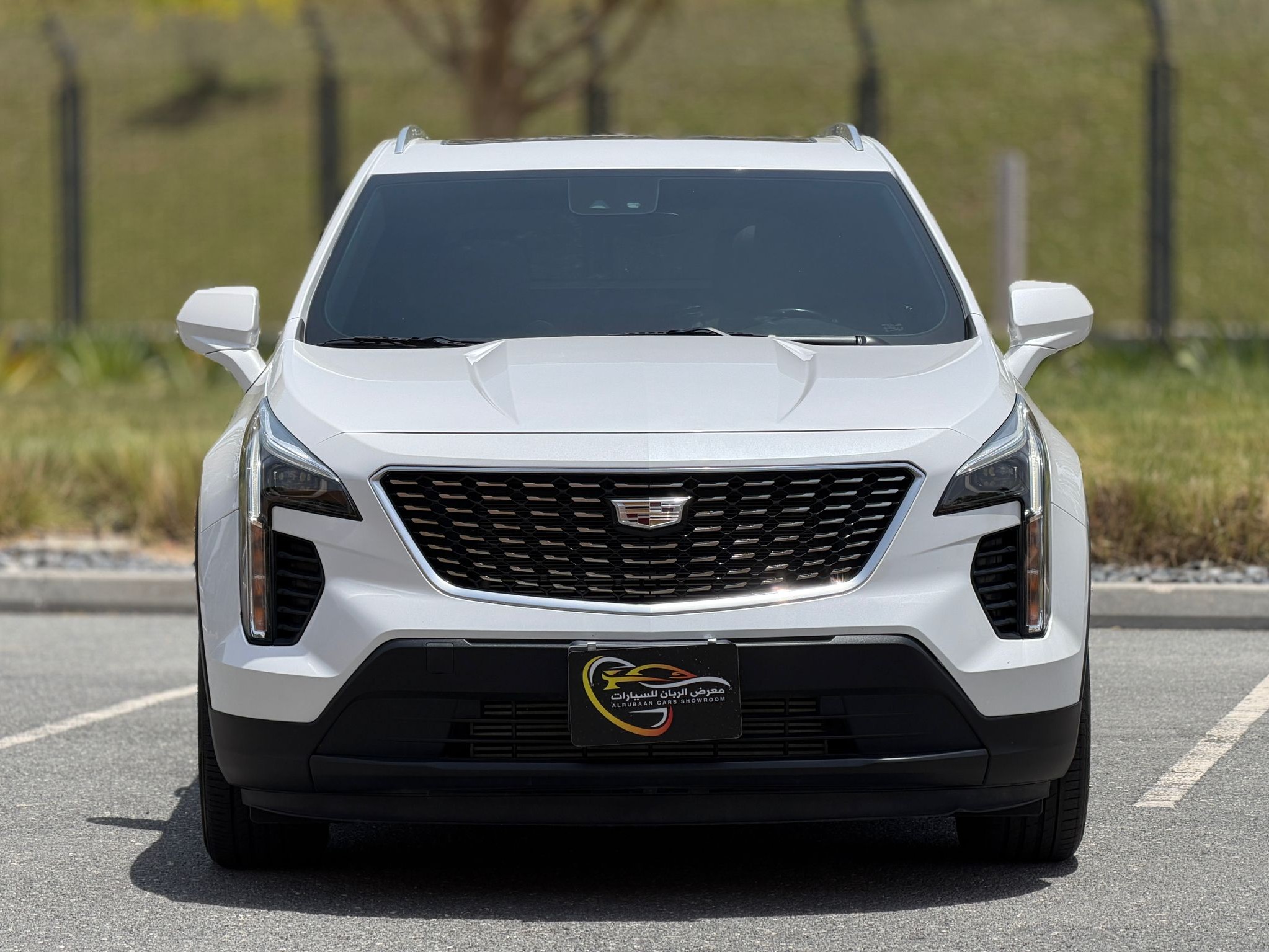 Cadillac XT 4 Luxury  2022 - Image 2