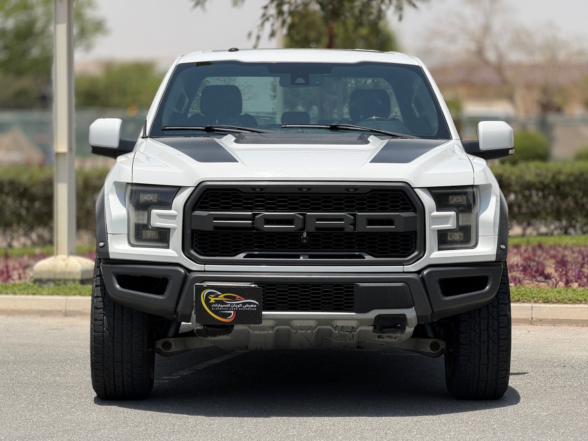 Ford Raptor Standard 2018 - Image 2