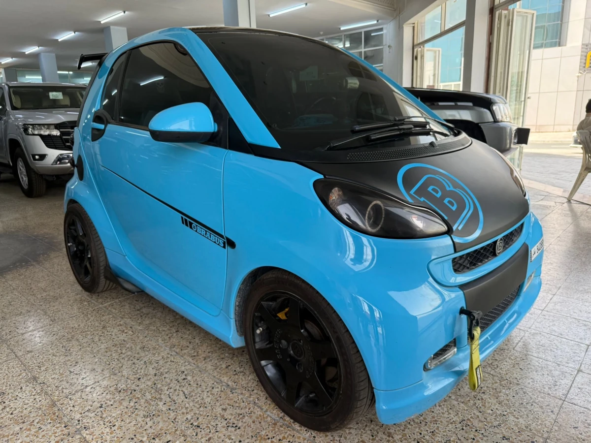 Smart burabs 2009