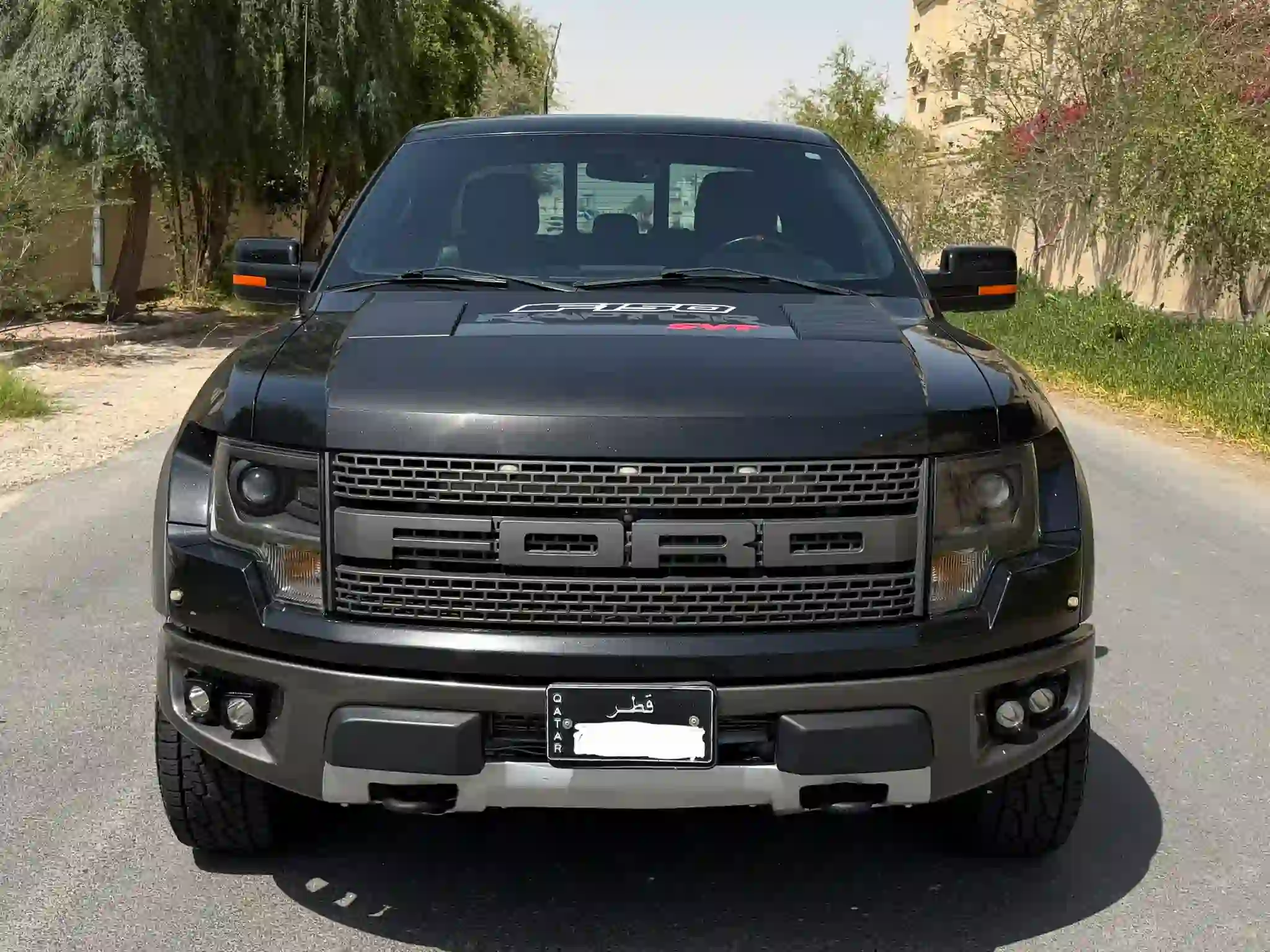 Ford Raptor SVT 2014 - Image 2