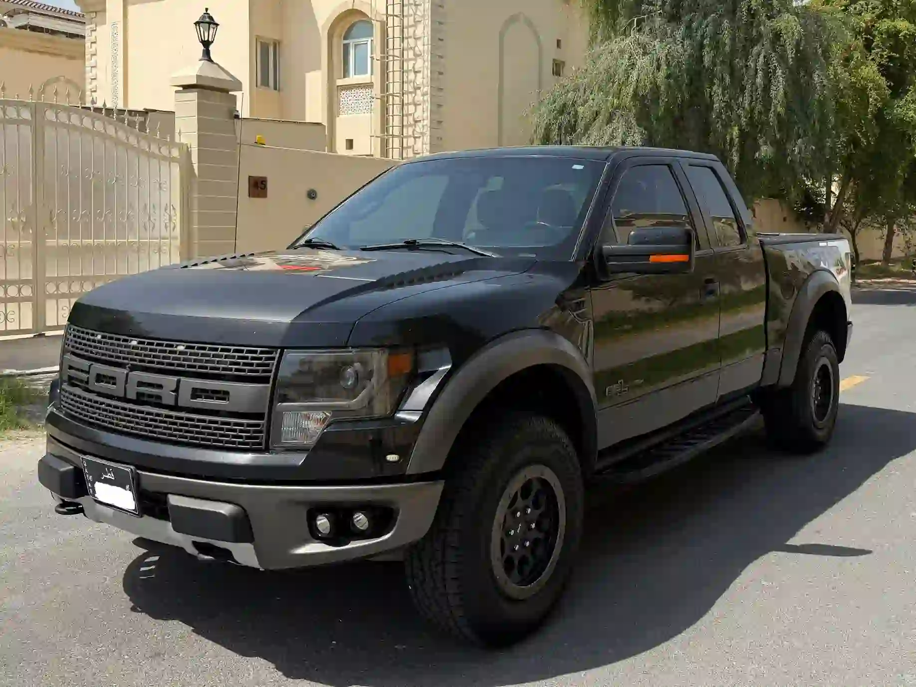 Ford Raptor SVT 2014 - Image 3