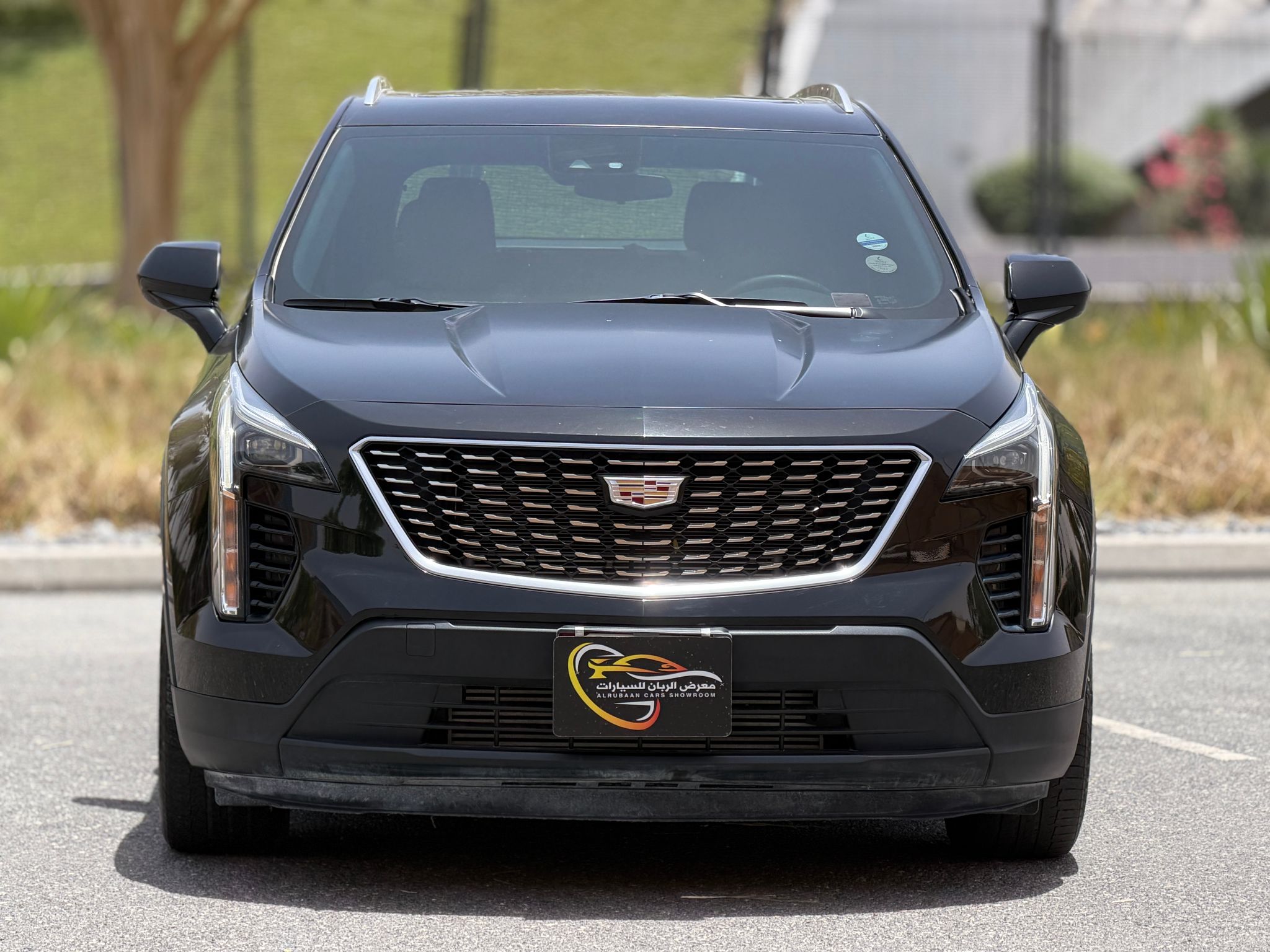 Cadillac XT 4 Luxury  2023 - Image 2