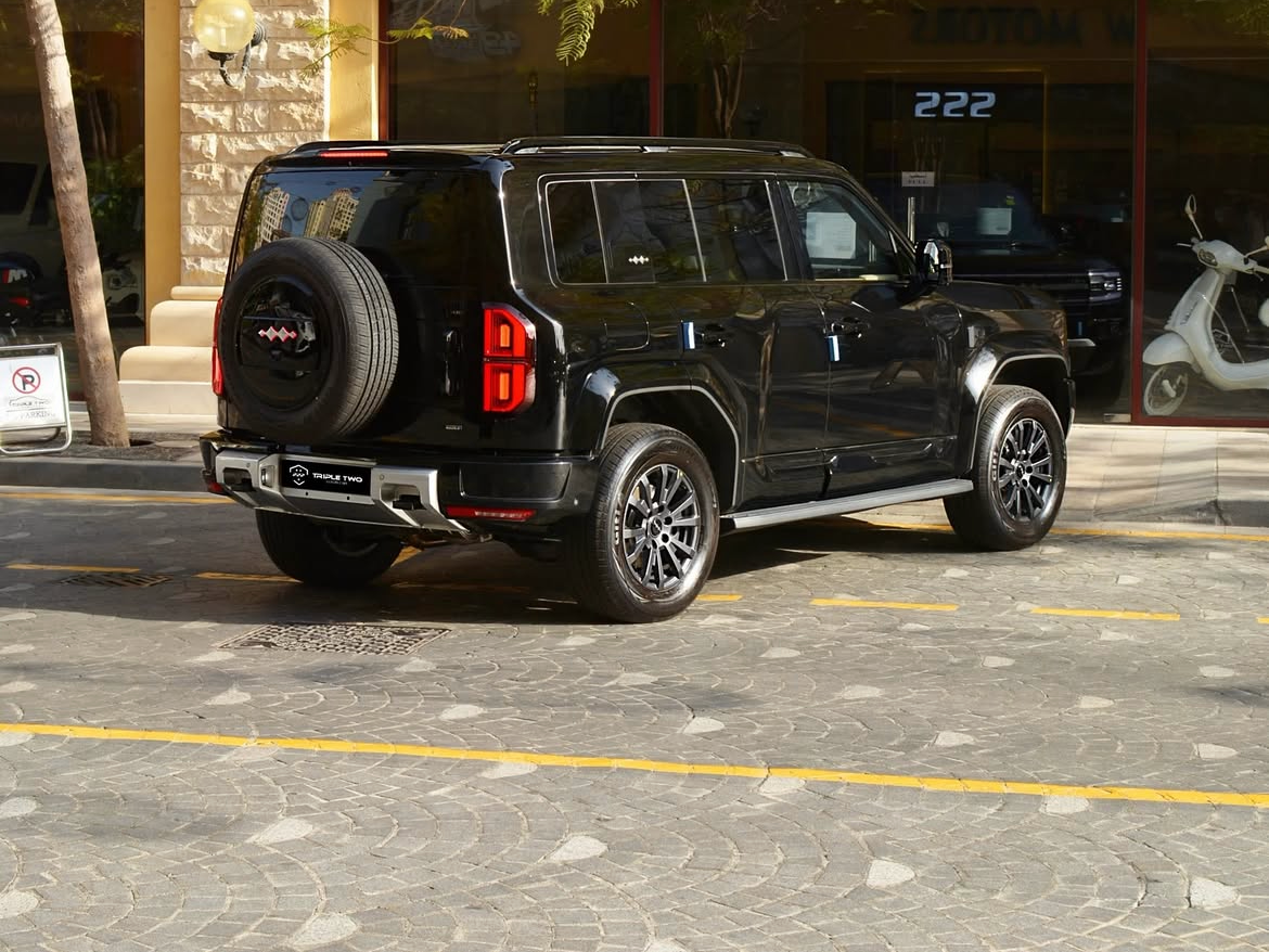 BYD LEOPARD 5 - Image 3