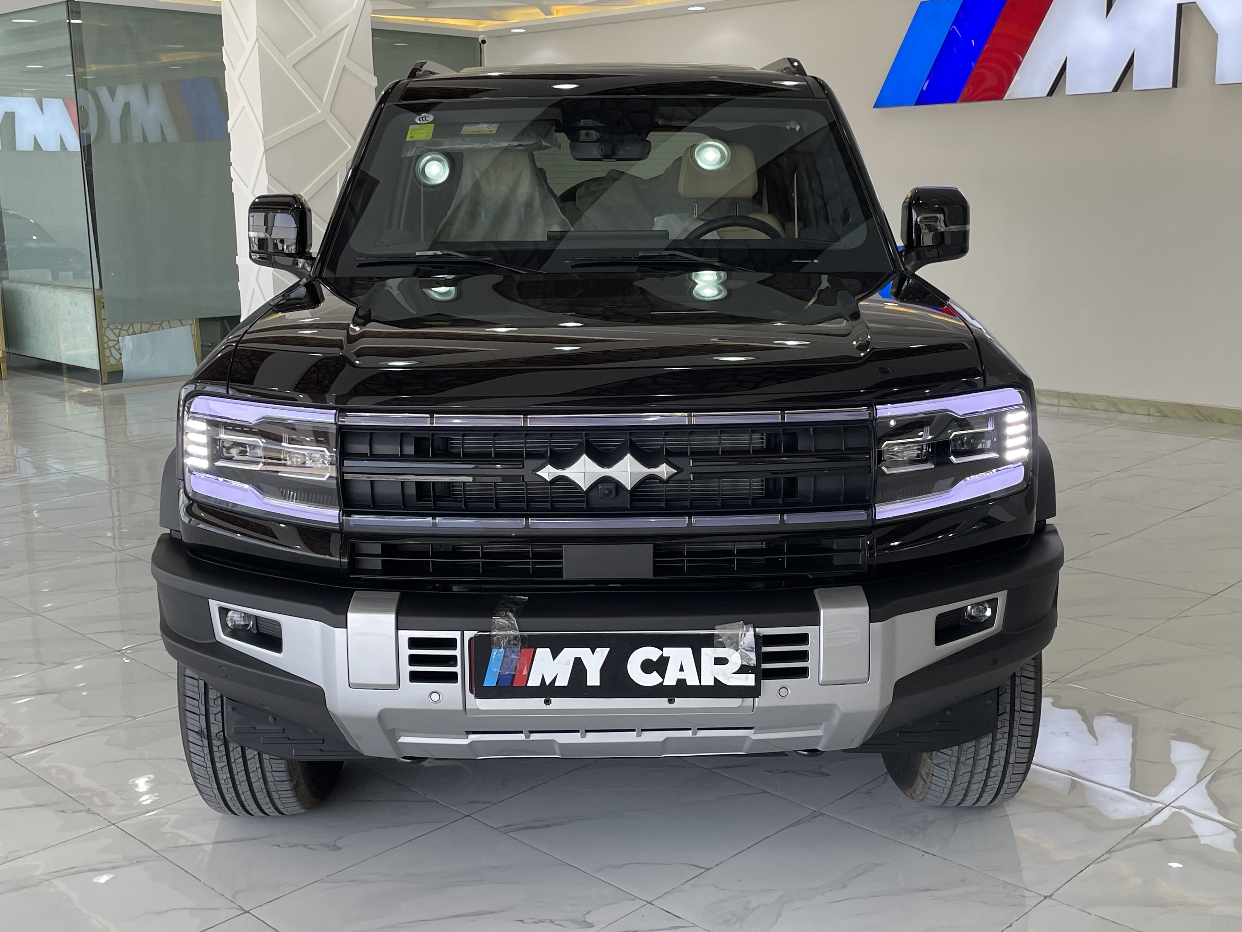 بي واي دي  ليوبارد - Image 2