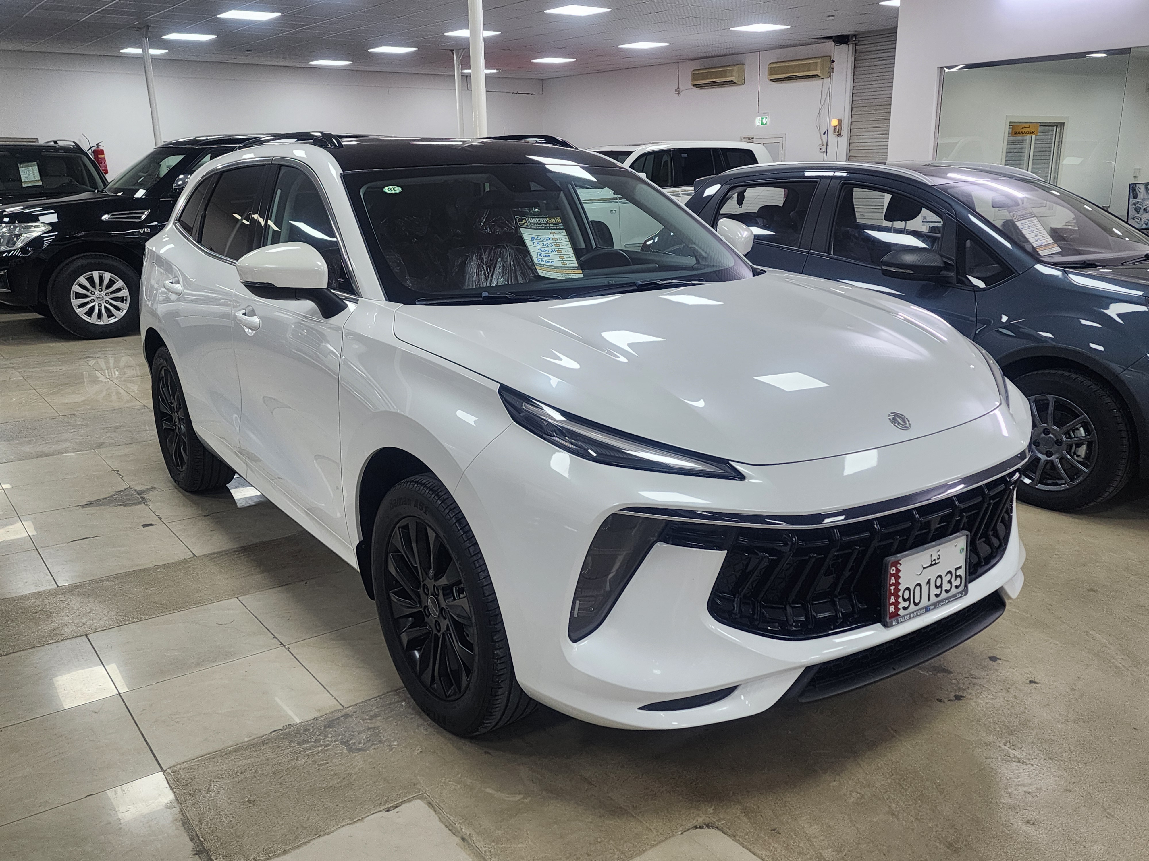 فورثينيغ  دي في ام  تي 5 ايفو  - Image 3