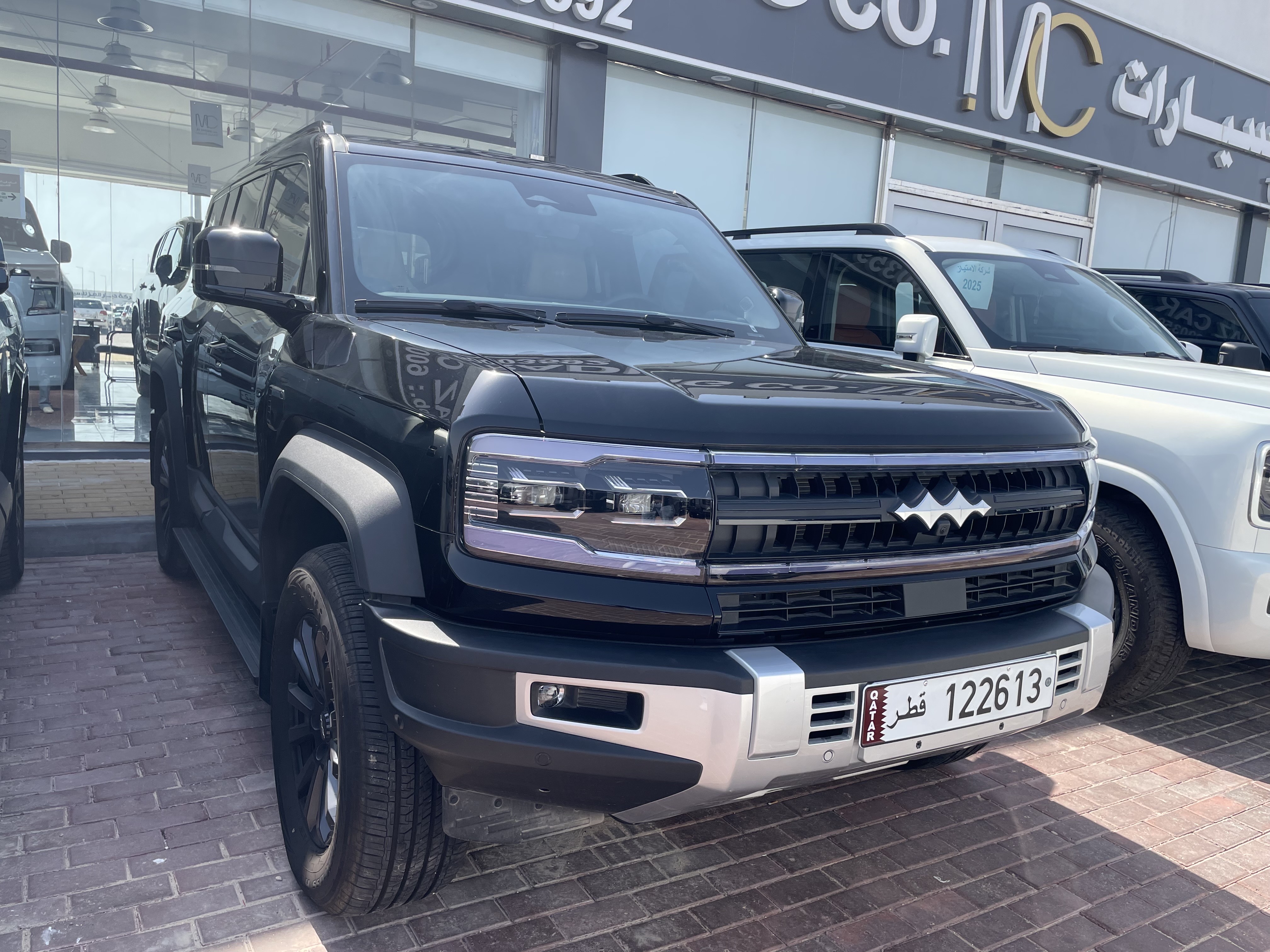 بي واي دي  ليوبارد 2025 - Image 1
