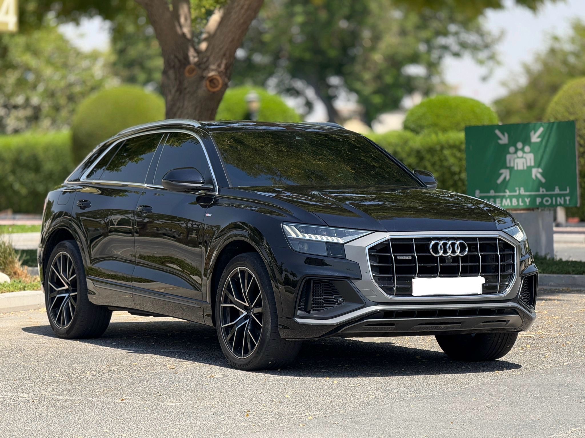 Audi Q8 2019