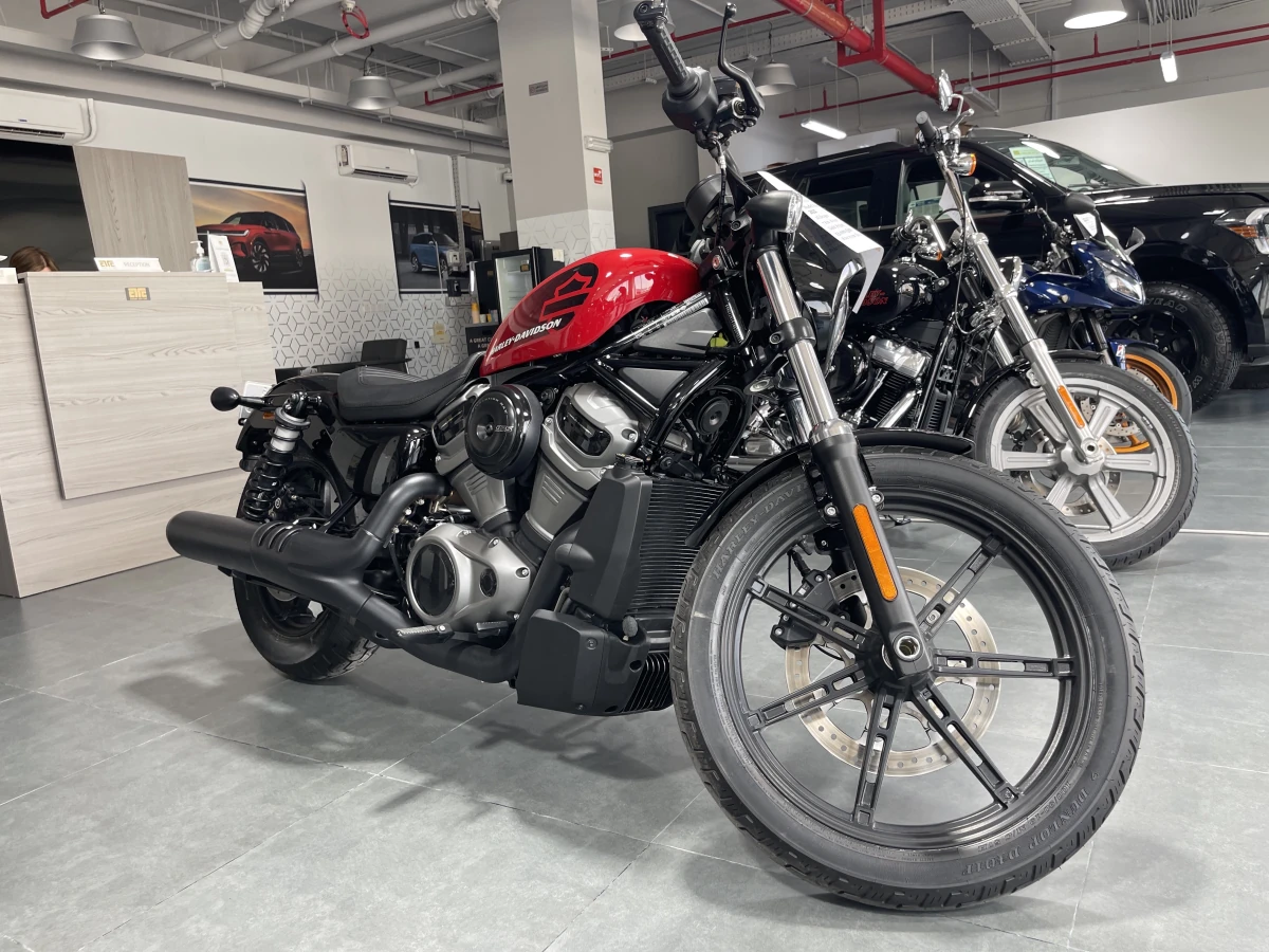 Harley Davidson  Nightster 2022