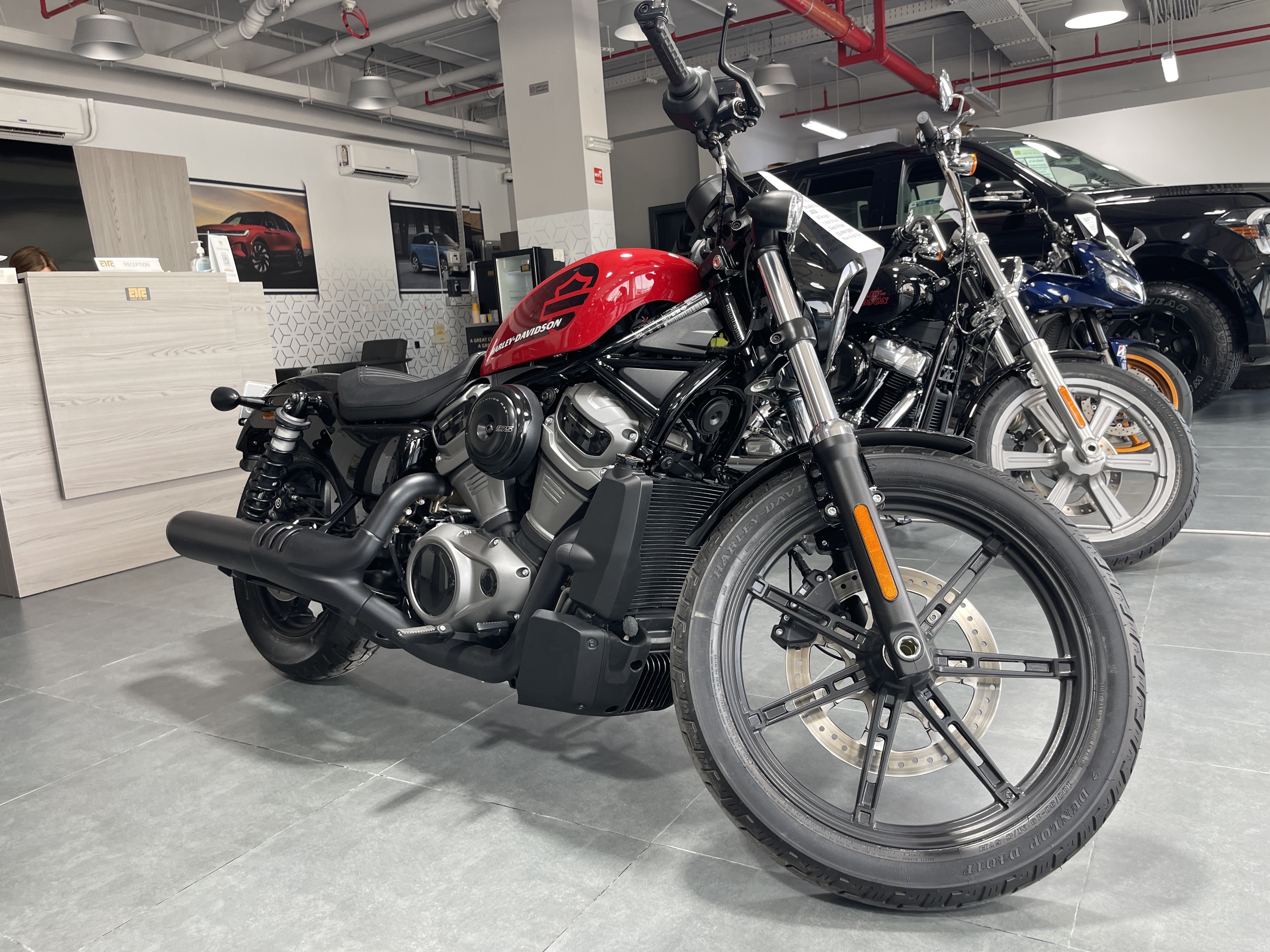 Harley Davidson  Nightster 2022