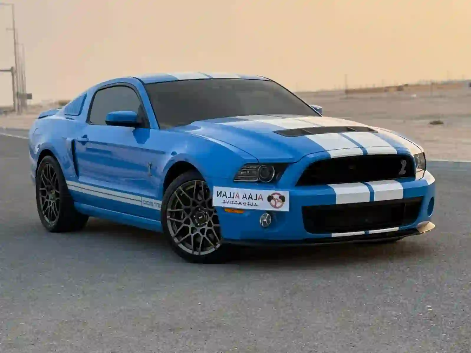 Ford Mustang Shelby  2013