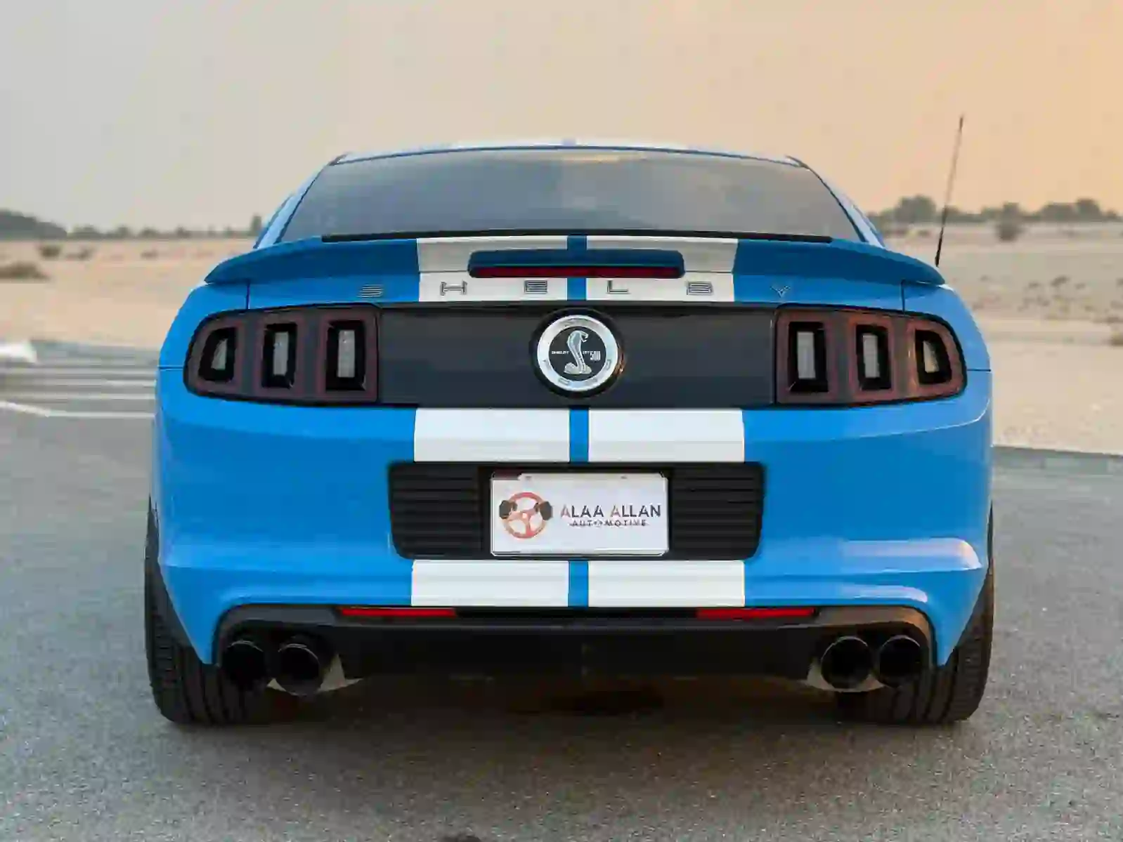 Ford Mustang Shelby  2013 - Image 3