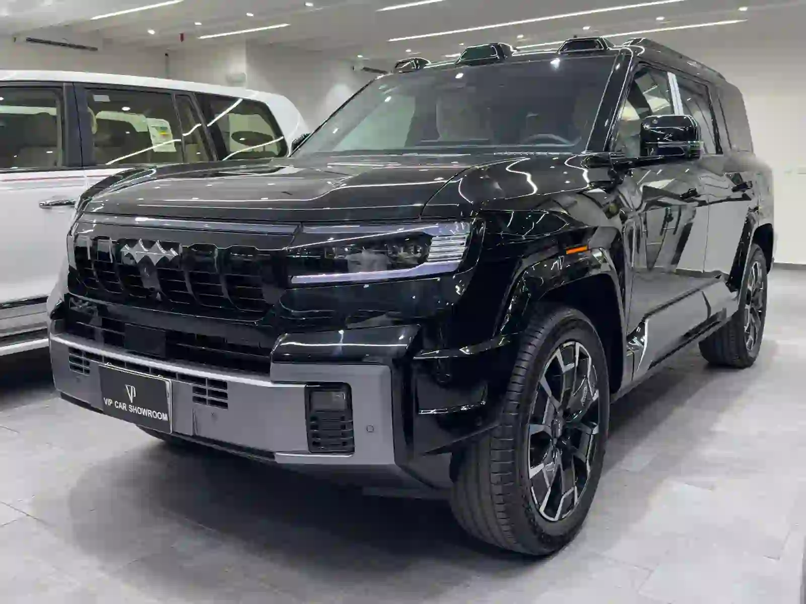 BYD  LEOPARD 8 2025