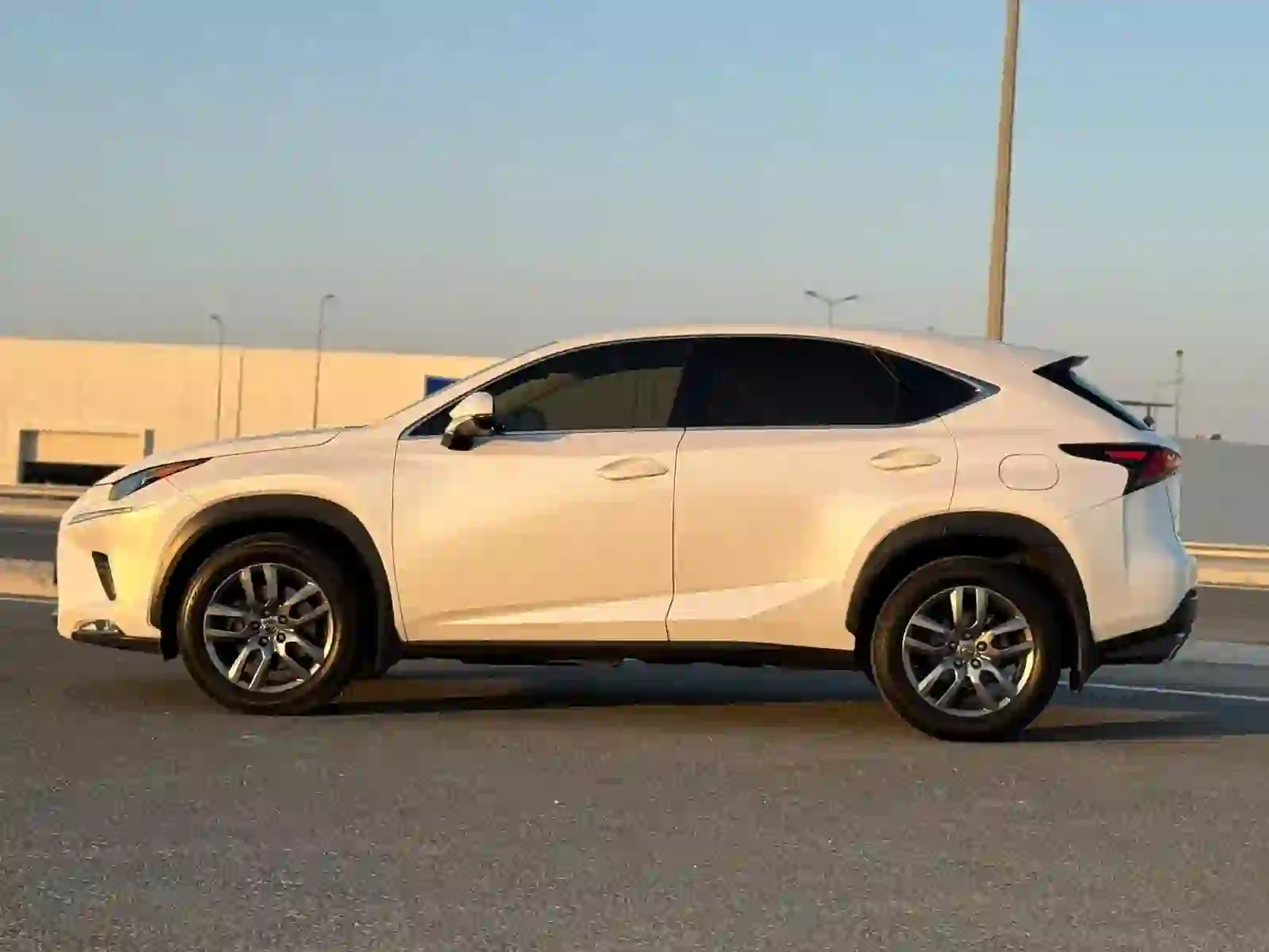 Lexus NX 300 2020 - Image 2