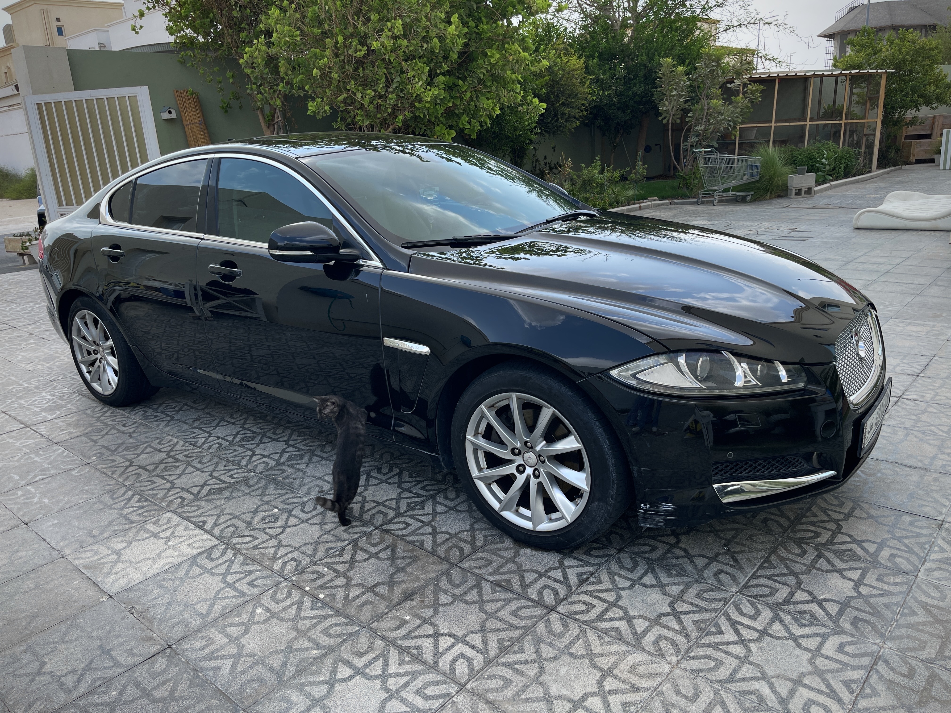 جاكوار إكس إف 2015 - Image 1