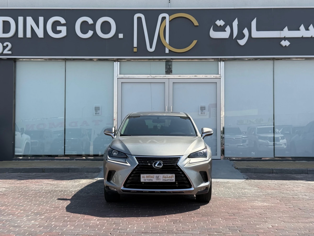 Lexus NX 300 2020