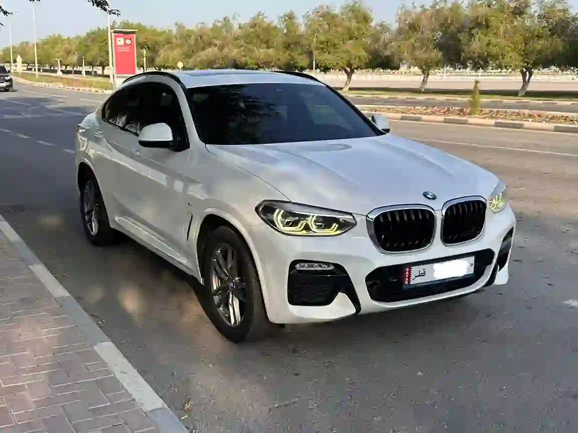 بي أم دبليو الفئة اكس X4  2019 - Image 1