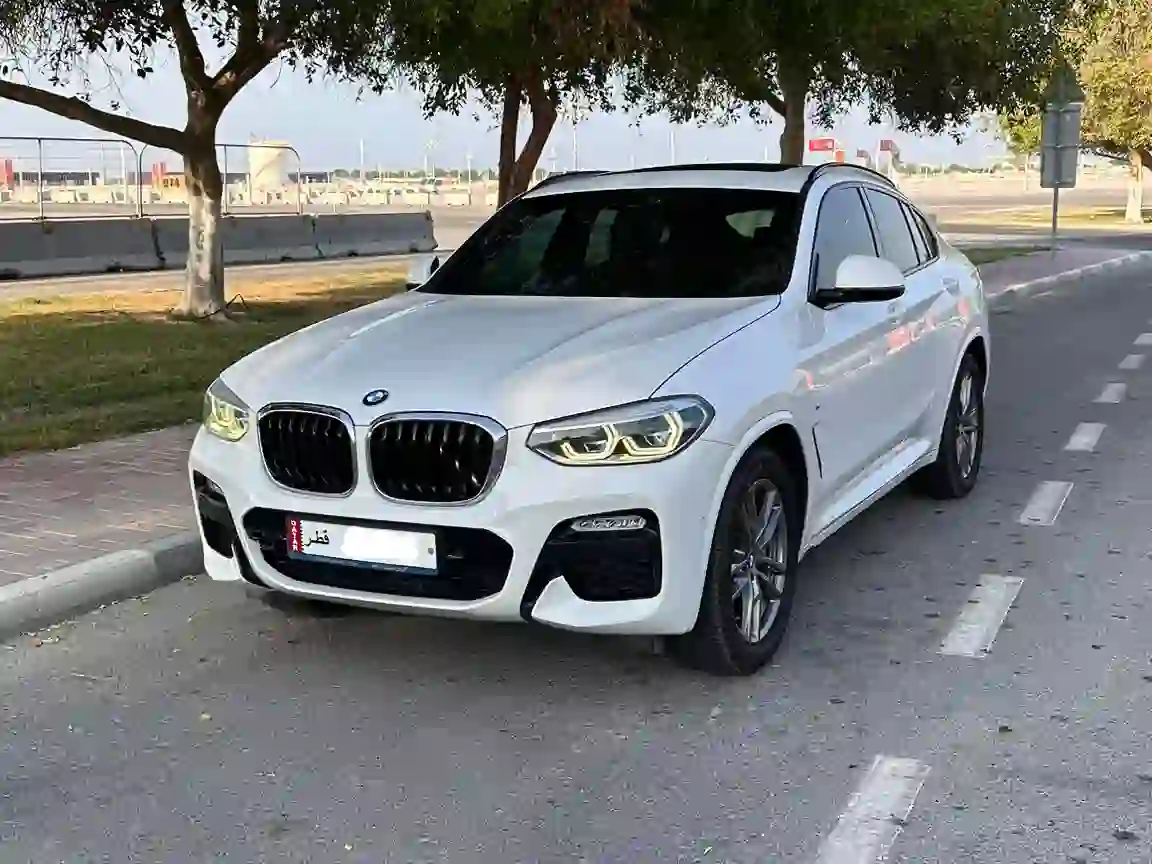 بي أم دبليو الفئة اكس X4  2019 - Image 2