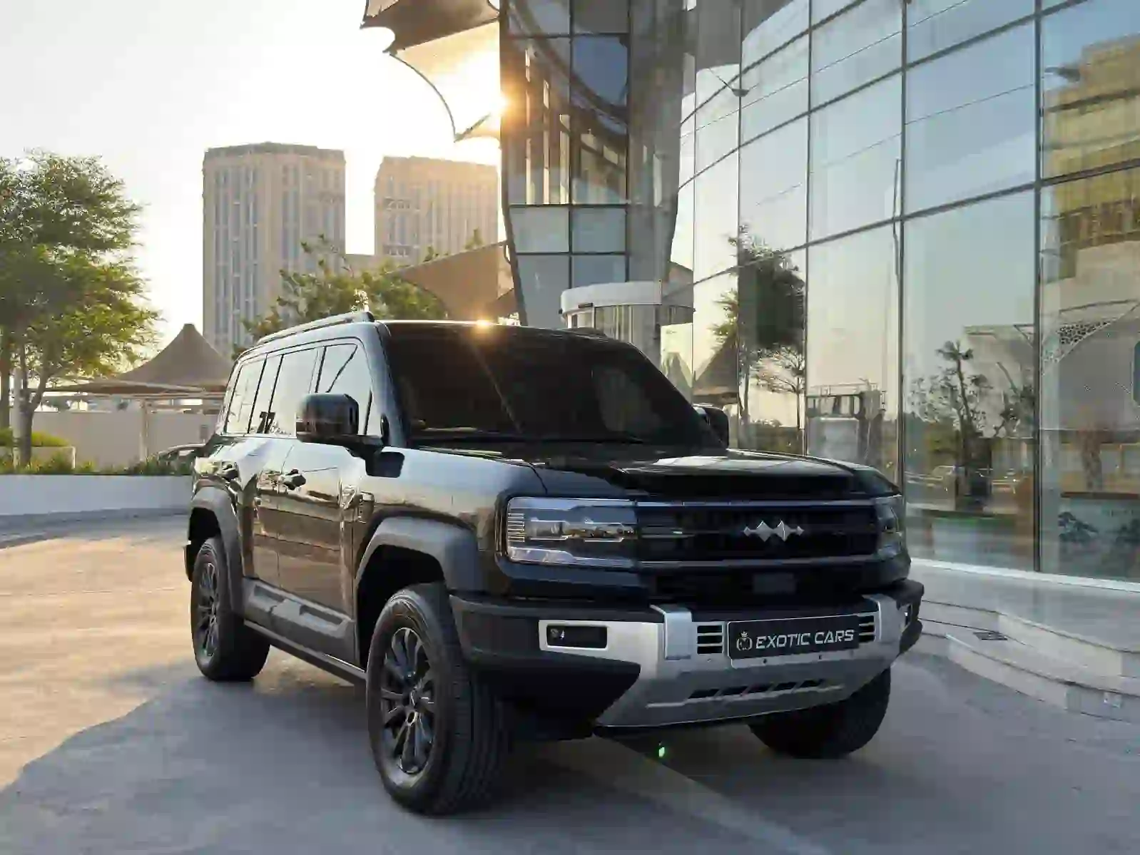 بي واي دي  ليوبارد 2025 - Image 1