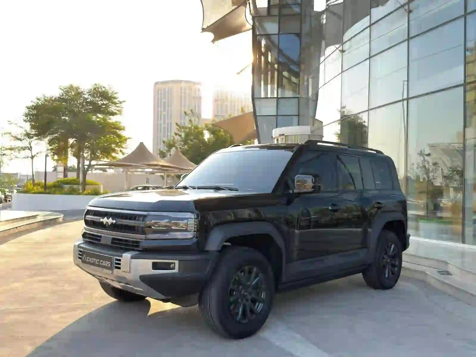 بي واي دي  ليوبارد 2025 - Image 4