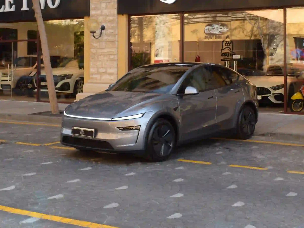 Tesla Model Y Performance 2025
