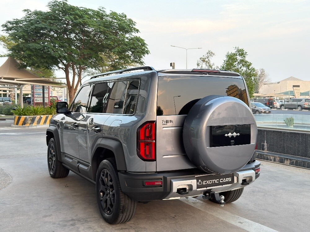 بي واي دي  ليوبارد 2024 - Image 3