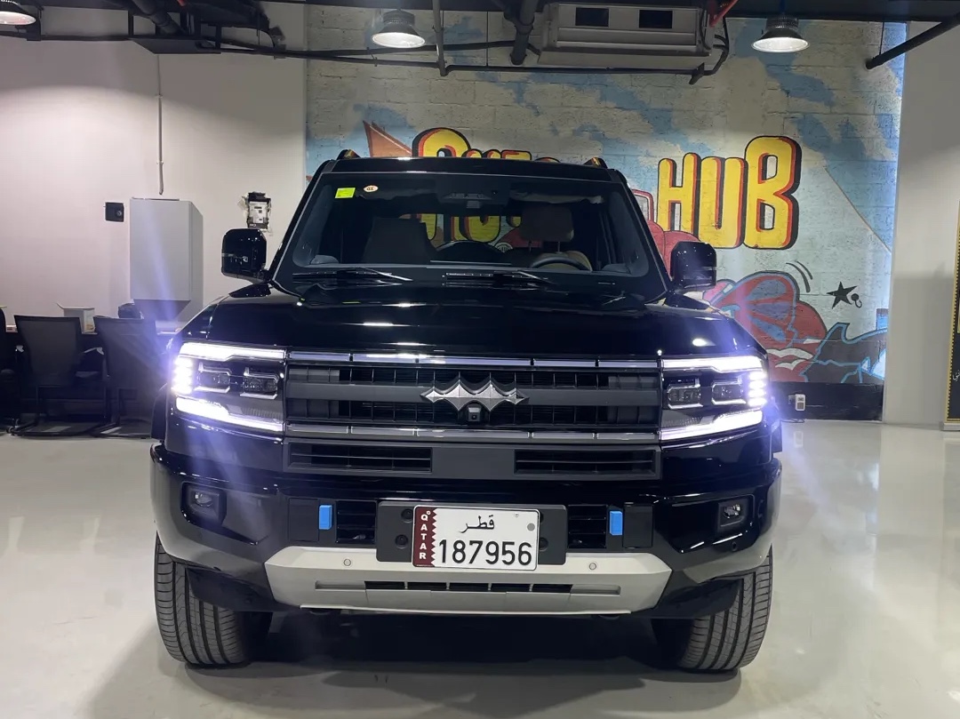 بي واي دي  ليوبارد 2025 - Image 2