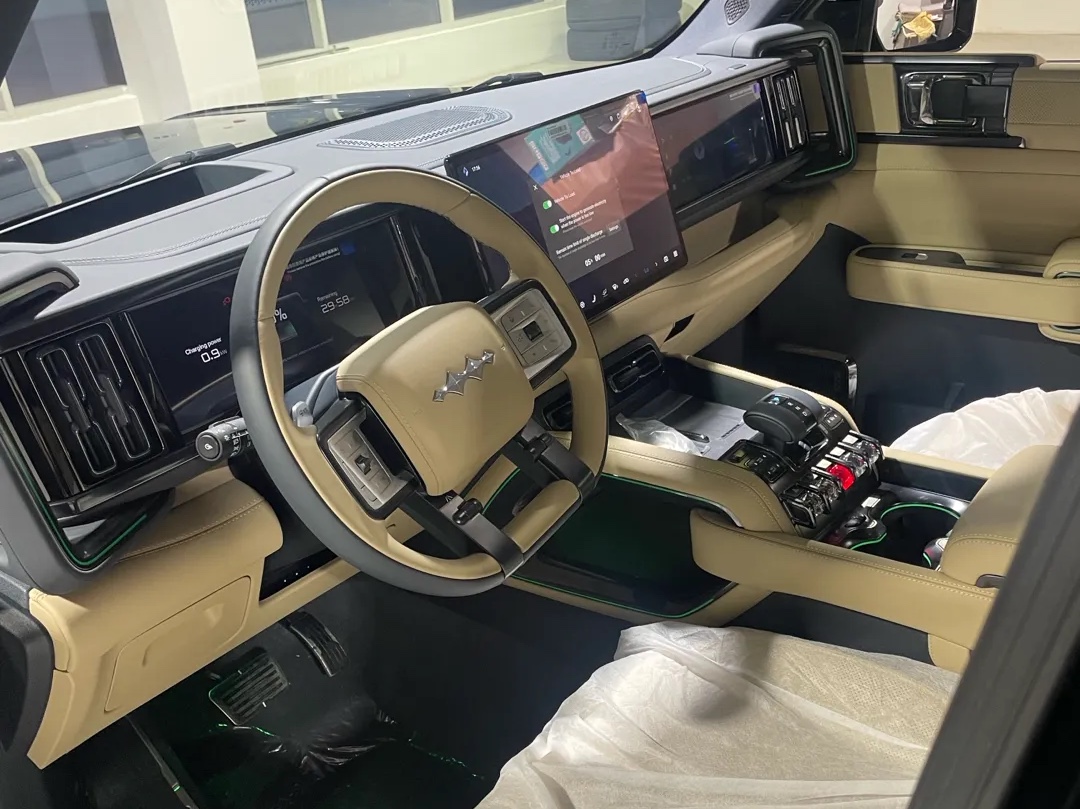 بي واي دي  ليوبارد 2025 - Image 4