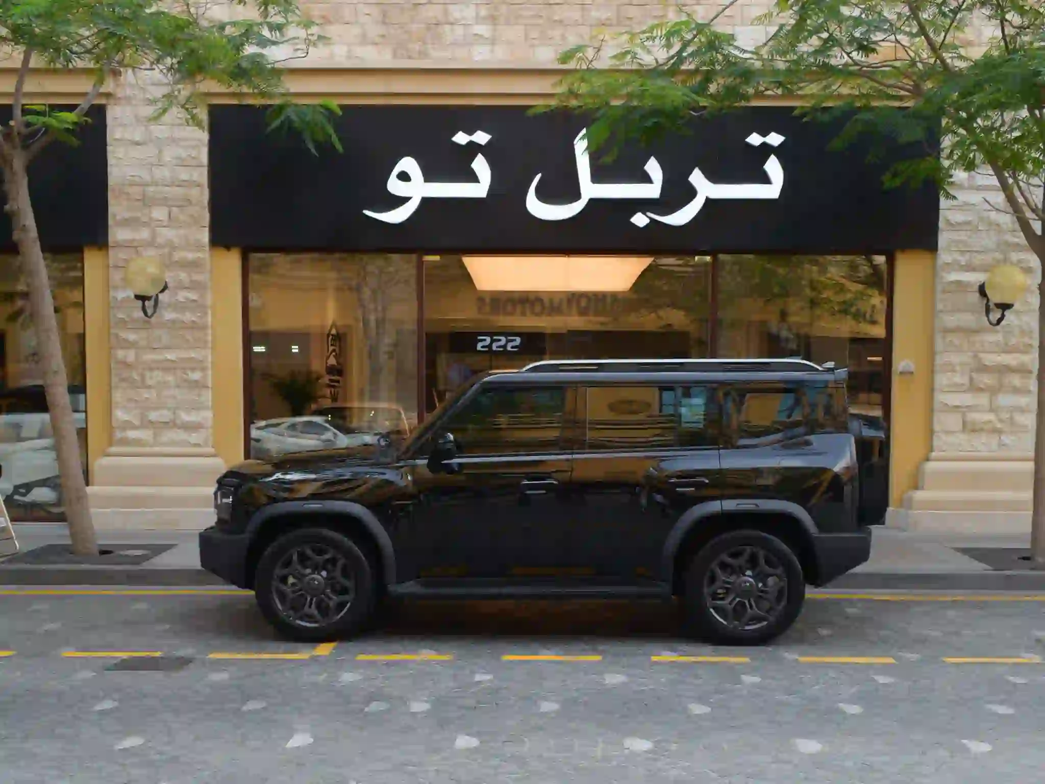 چيتور تى تو لكچري 2025 - Image 3
