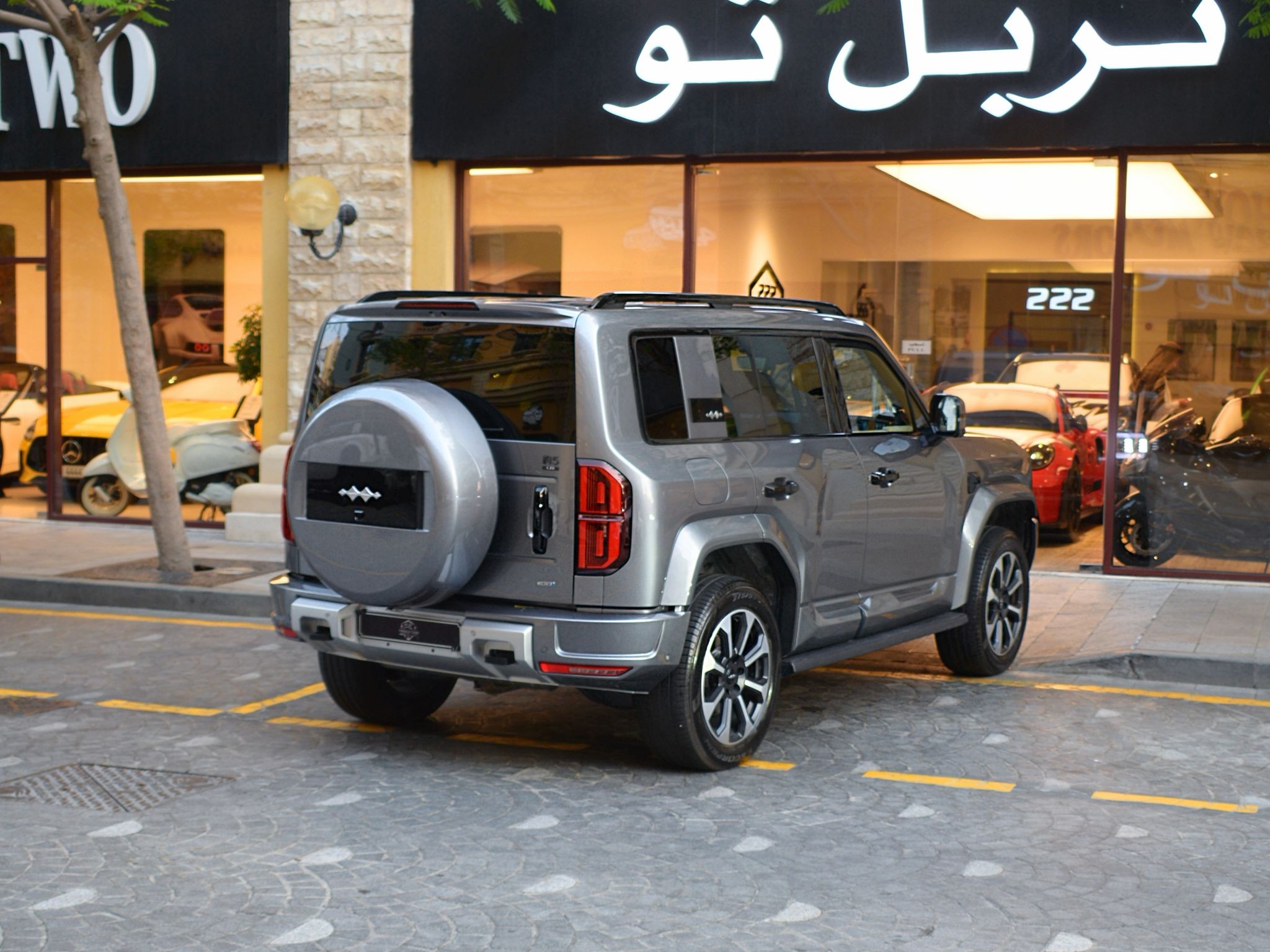 بي واي دي  ليوبارد 2025 - Image 2