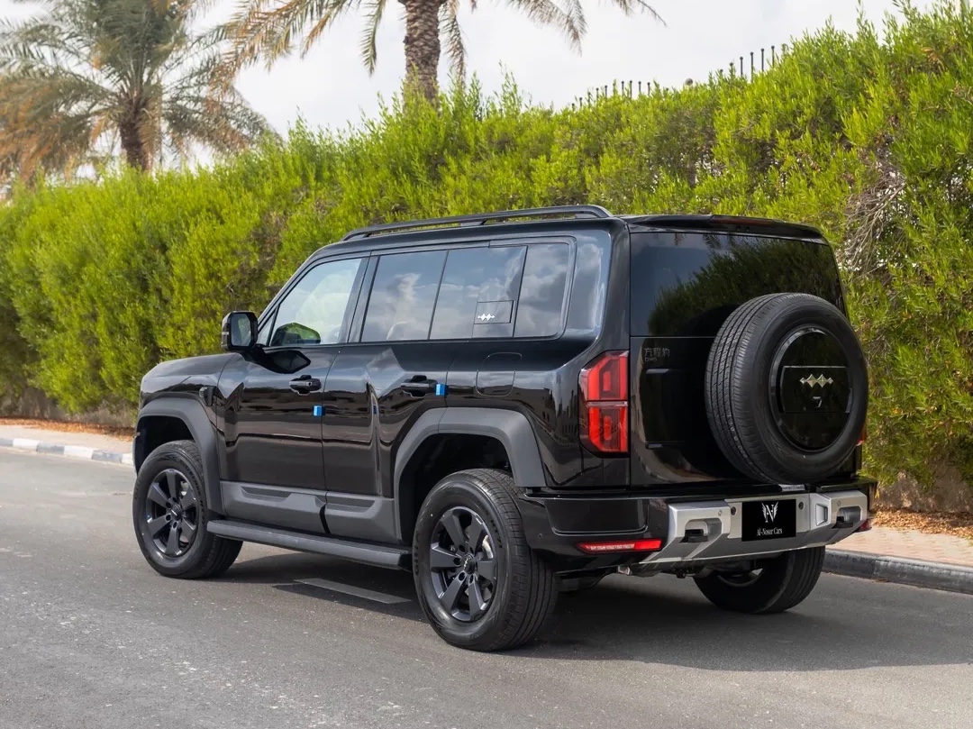 بي واي دي  ليوبارد 2026 - Image 2