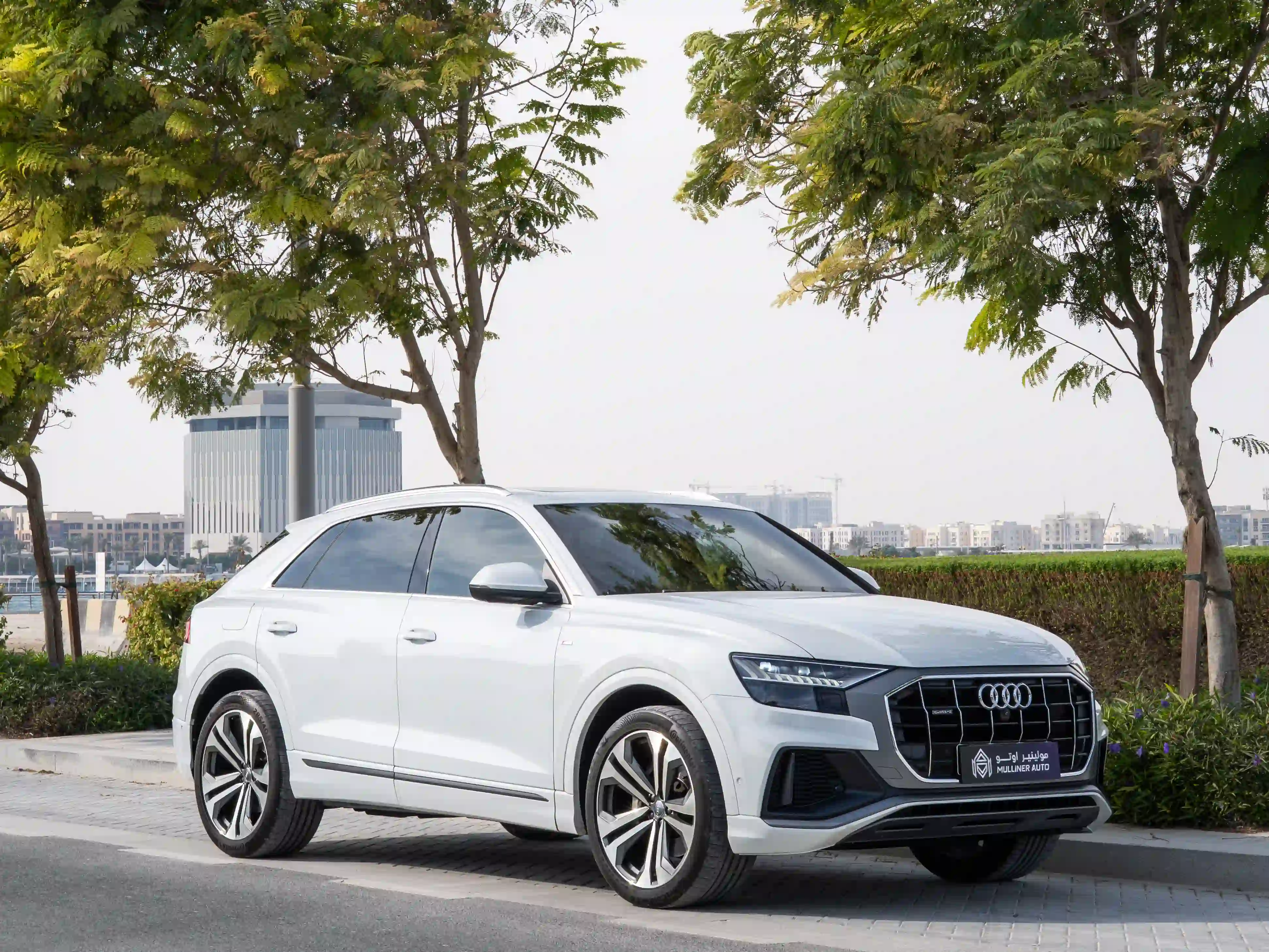Audi Q8 2019