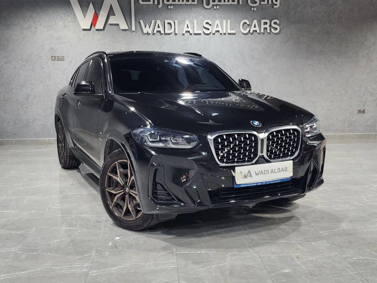 BMW X-Series X4 2022