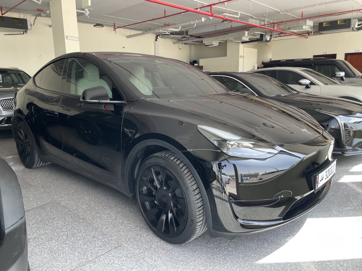 Tesla Model Y Performance 2025