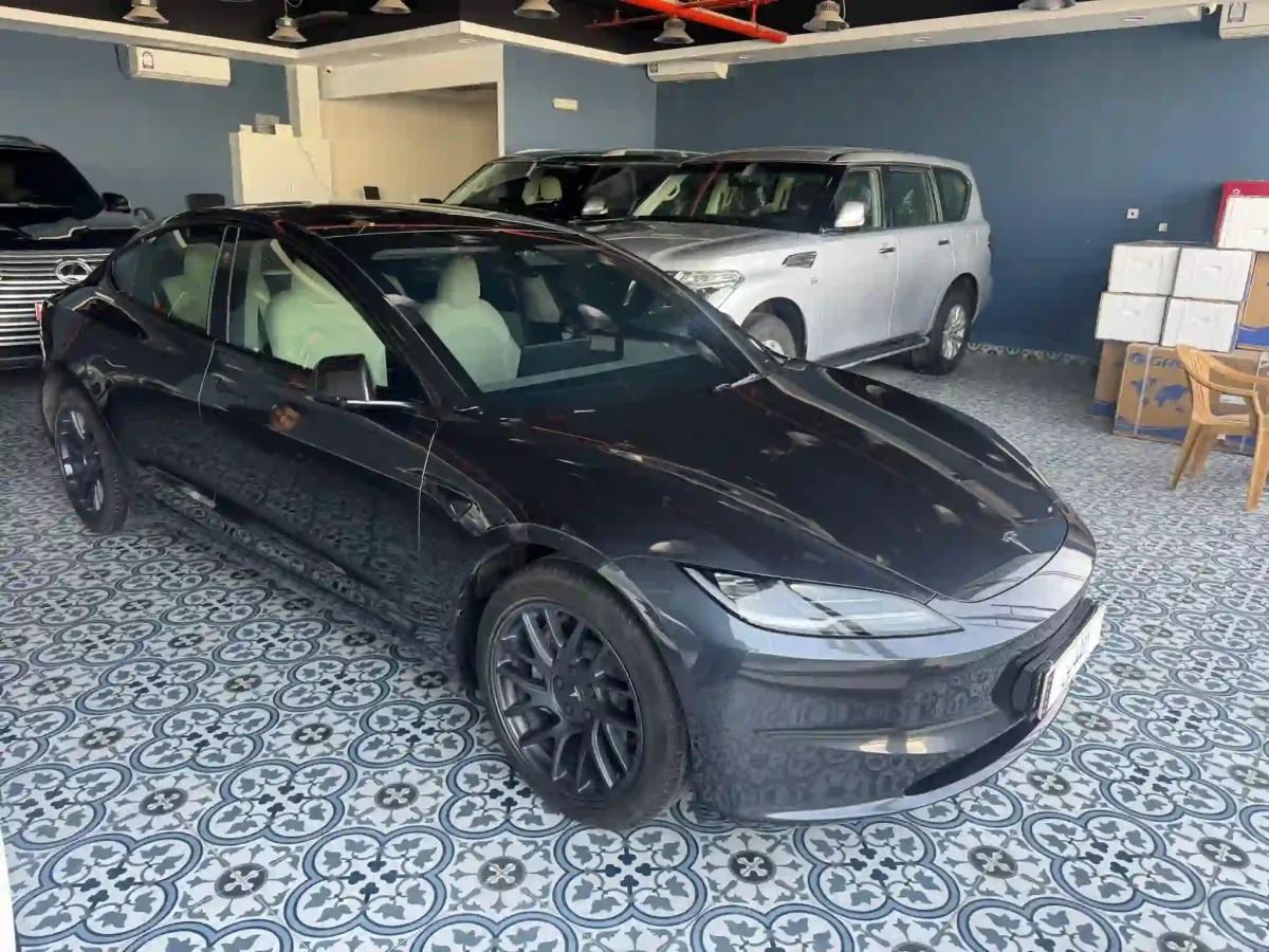 Tesla Dual motor 2024