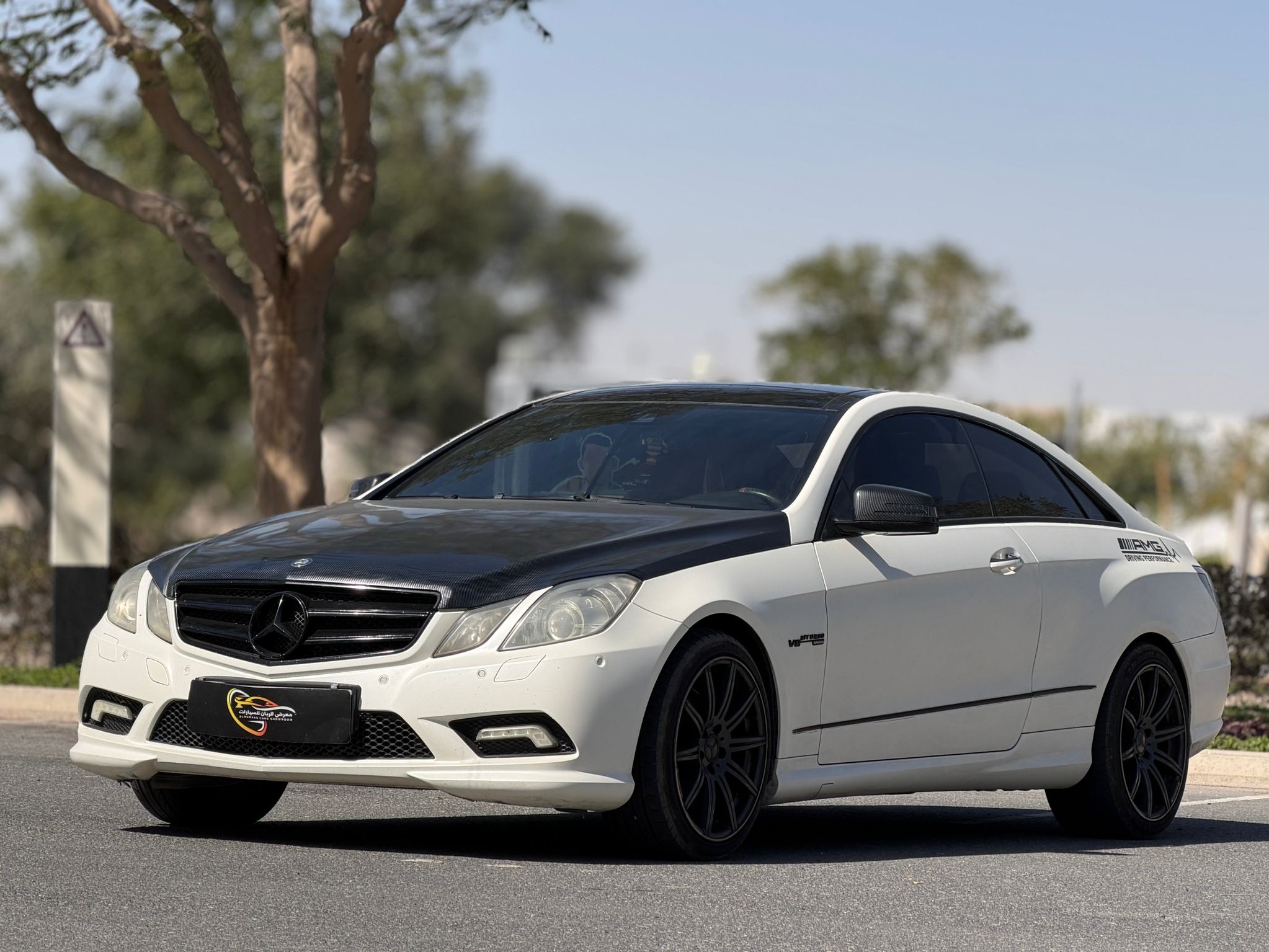 Mercedes-Benz E-Class Coupe 350 AMG 2010