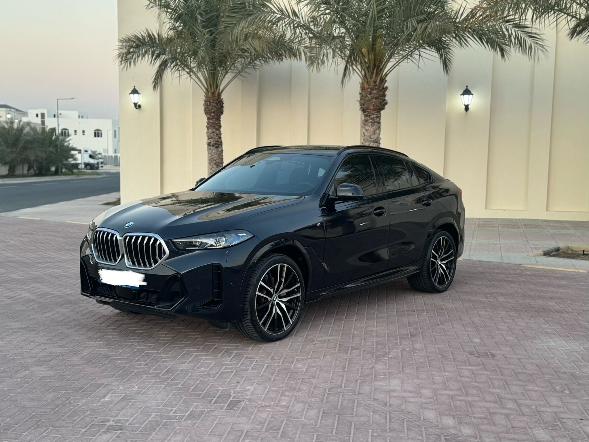 BMW X-Series X6 2024