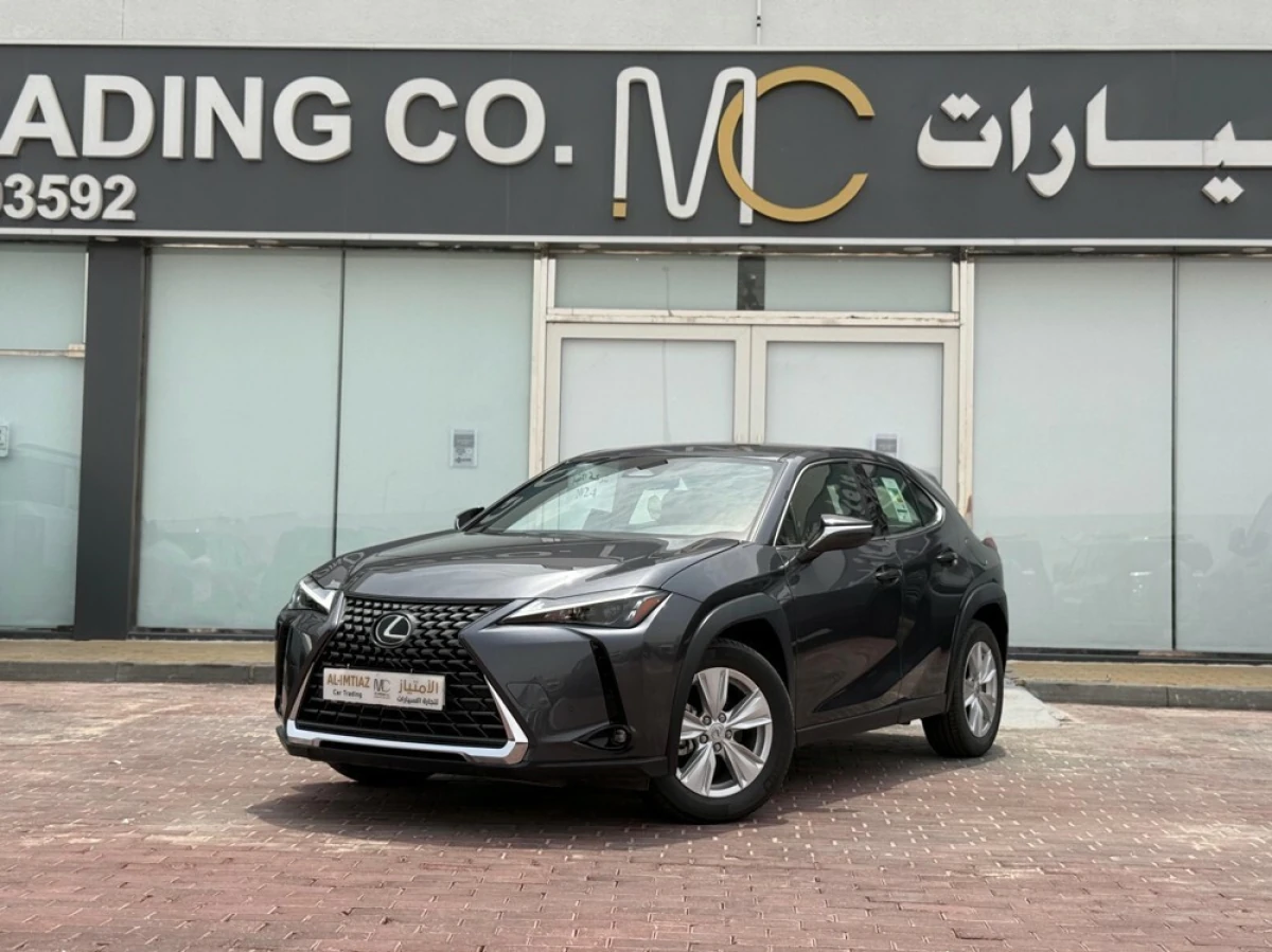 Lexus UX 300h 2024