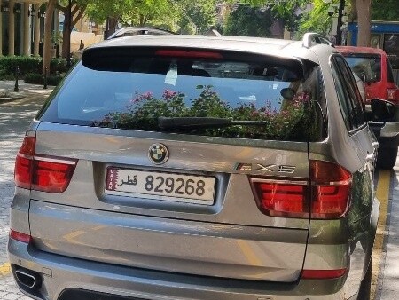 BMW X-Series X5 M50i 2012 - Image 3