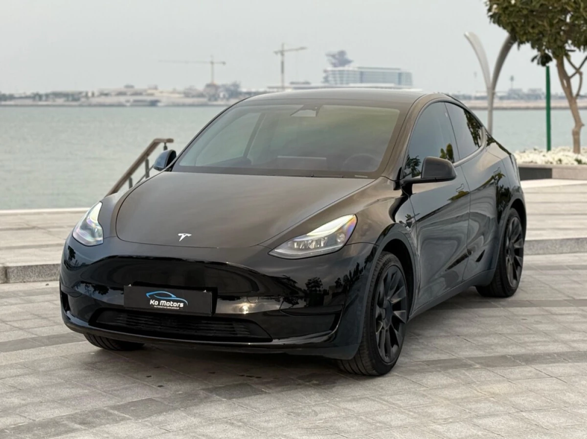 Tesla Model Y 2024