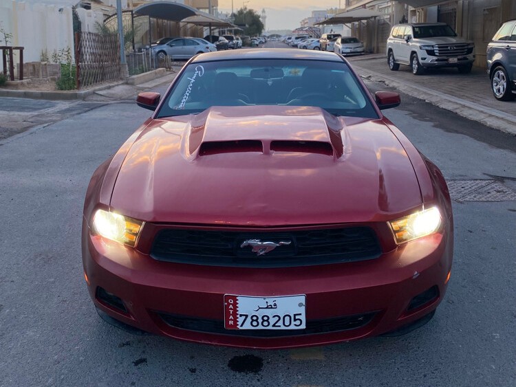 Ford Mustang Standard 2010