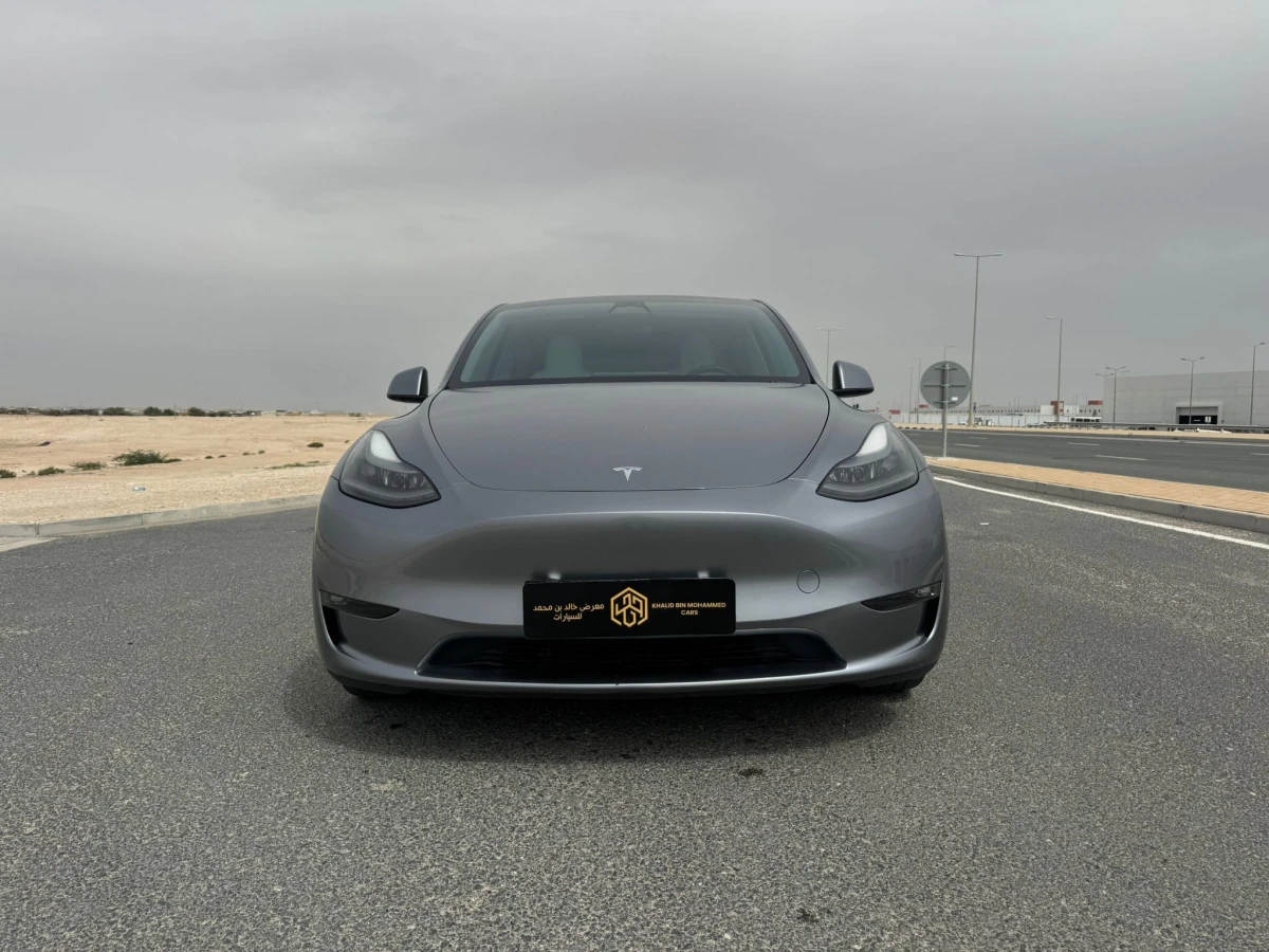 Tesla Model Y Performance 2024