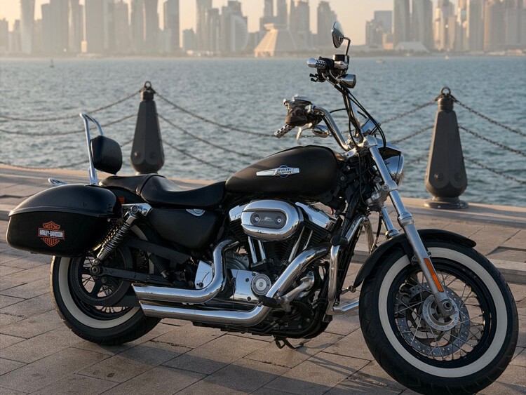 Harley Davidson  SportSter  2014 - Image 2