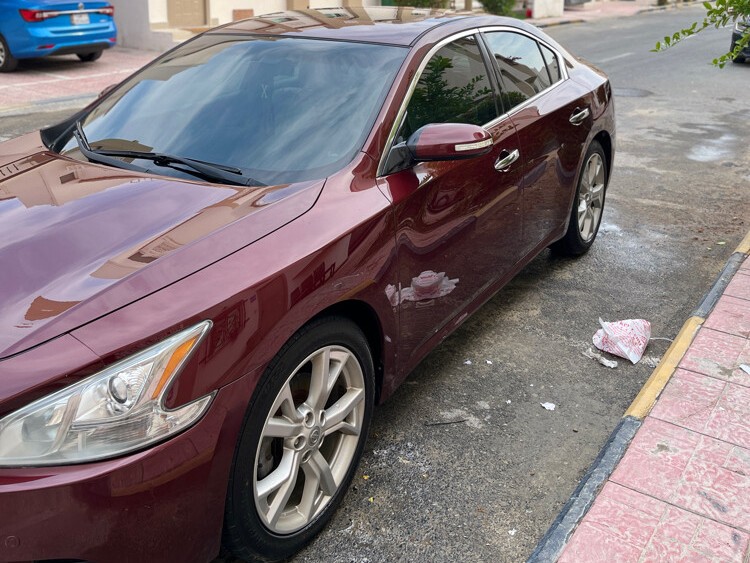 Nissan Maxima 2013 - Image 3