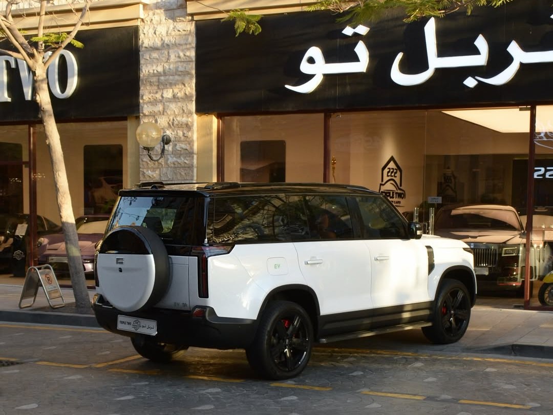 Rox 01 2025 — photo 9 for sale in Qatar