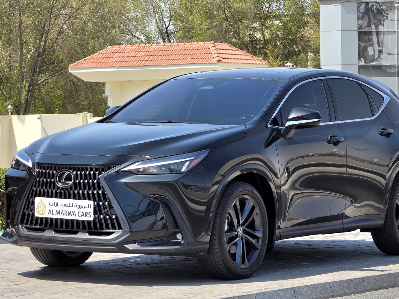 Lexus NX 350 2024