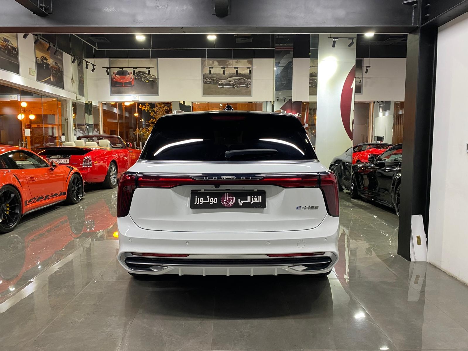 Hong-Qi E-HS9 Electric  2023 - Image 4