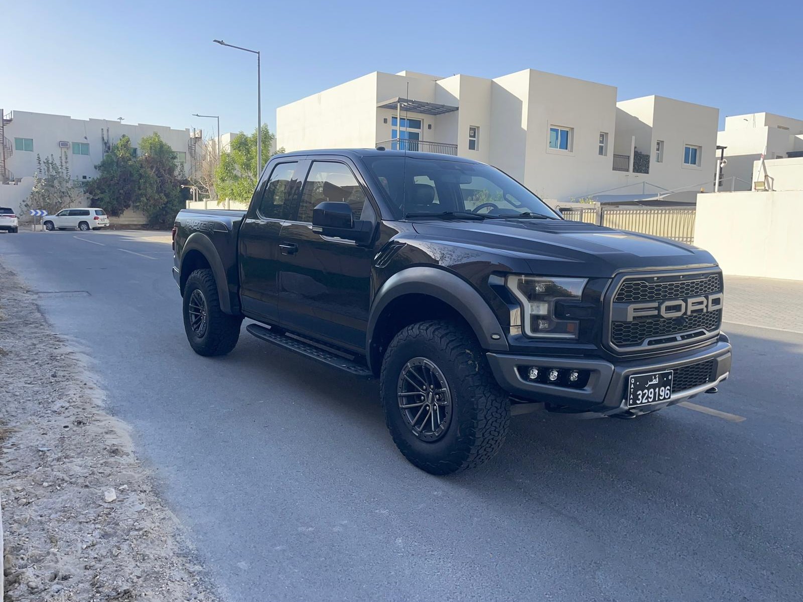 Ford Raptor f 150 2019