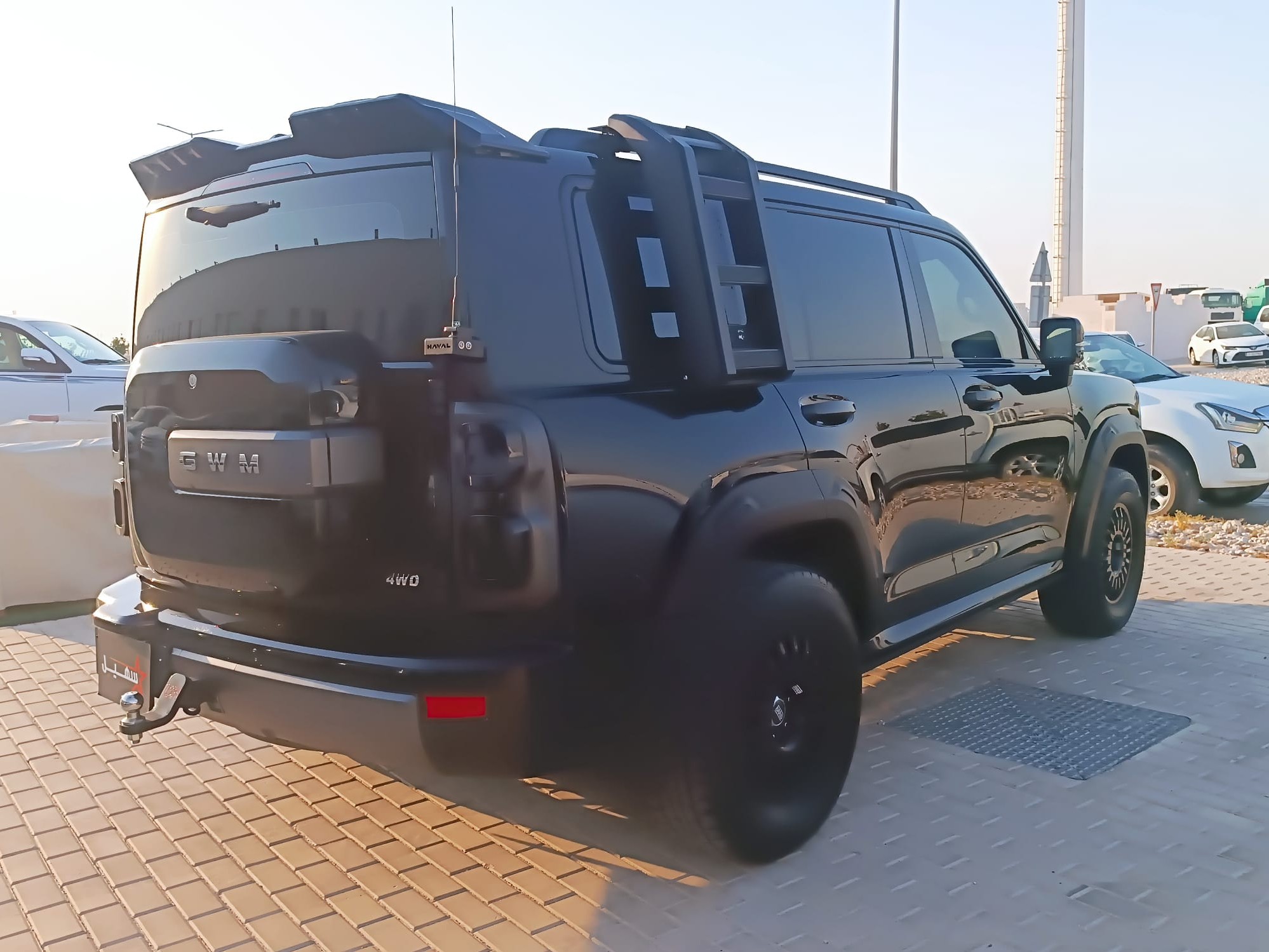 GWM Haval H9 2025 — photo 12 for sale in Qatar