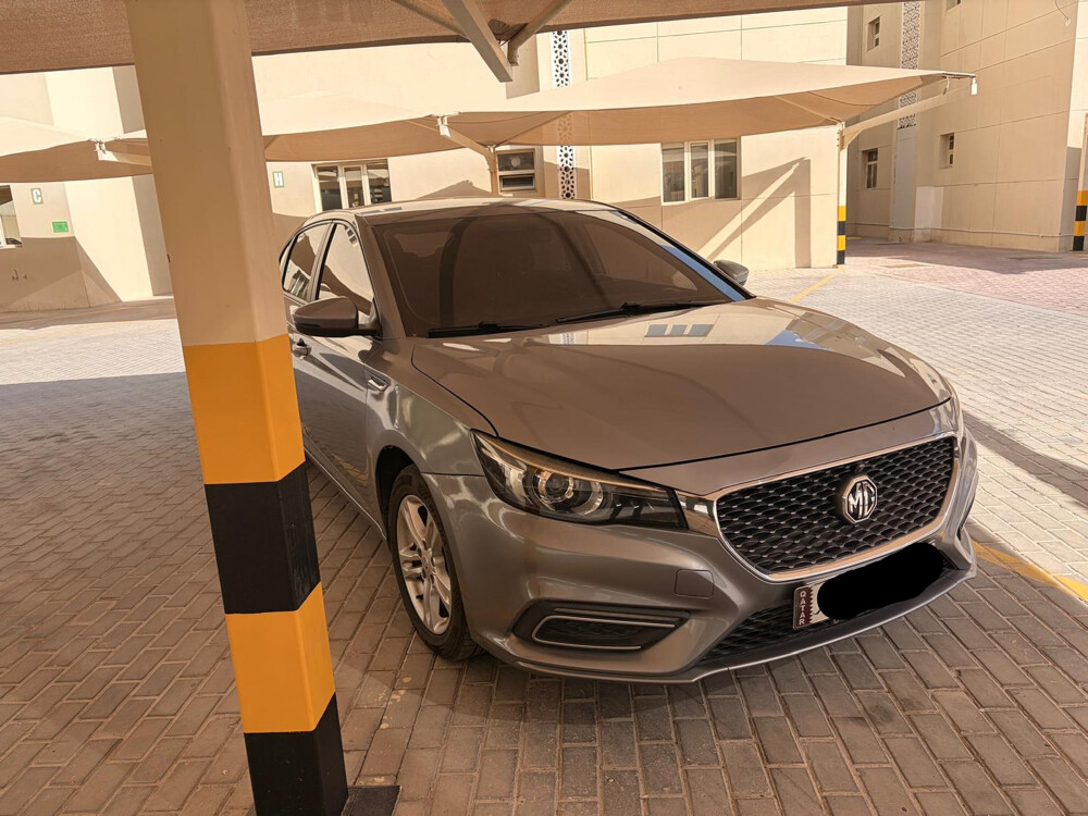 MG  6. 2020 - Image 2