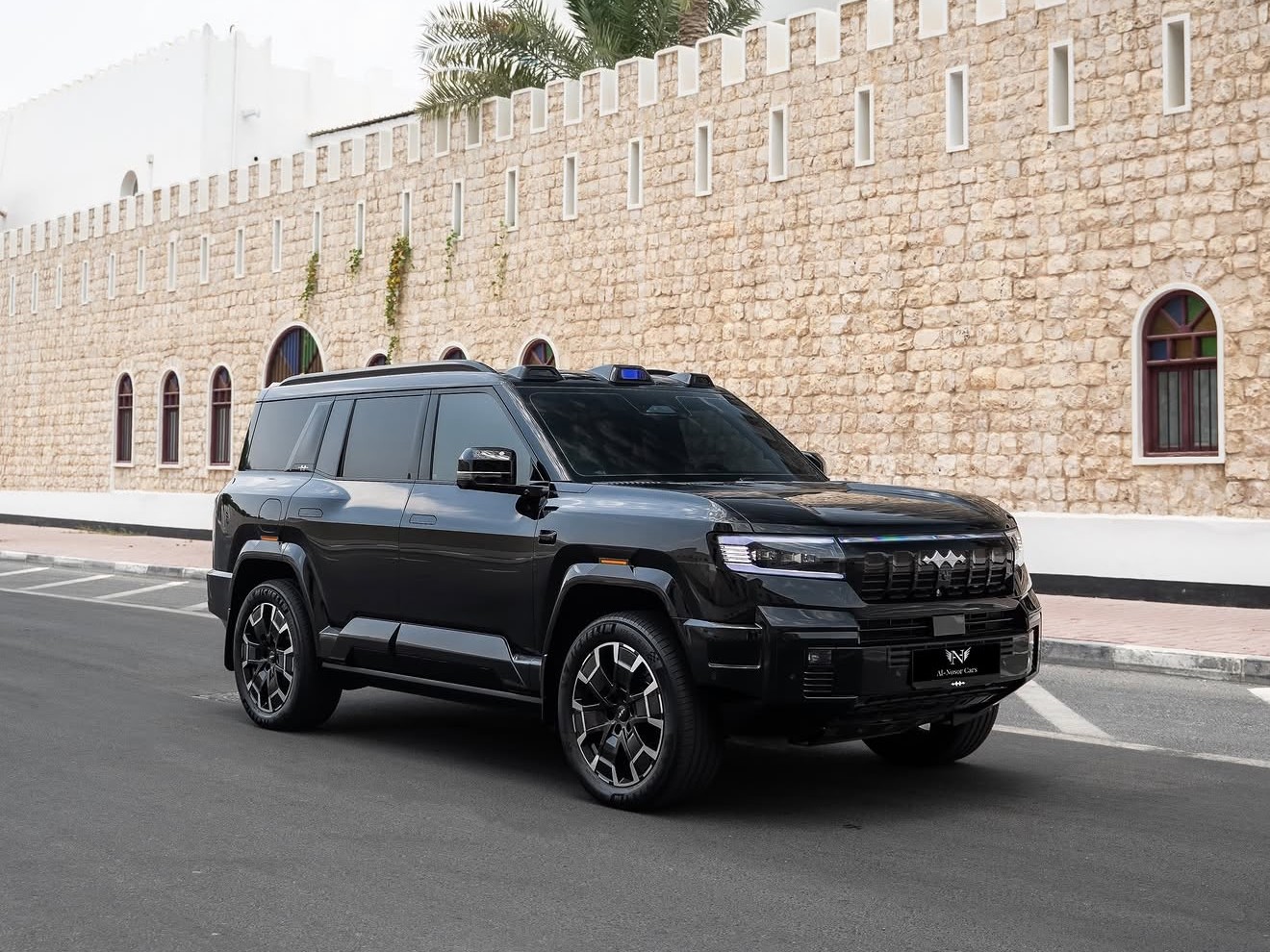 بي واي دي  ليوبارد 8 Flagship 2025